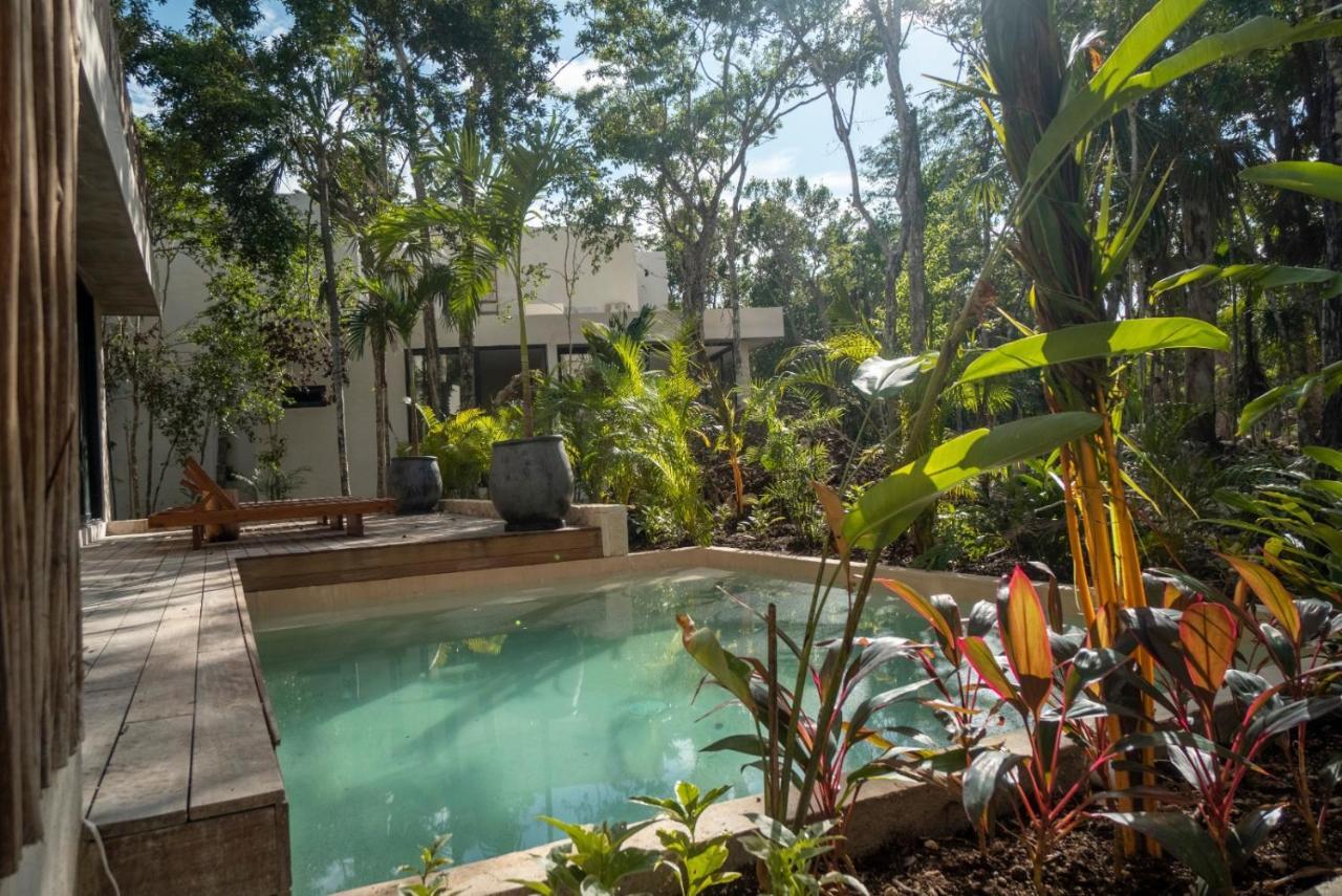 Villa Xuncari En El Corazon De La Selva Τουλούμ Εξωτερικό φωτογραφία